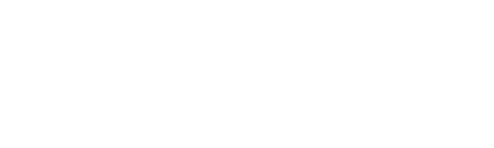 ValiantShield Insurance Group
